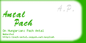 antal pach business card